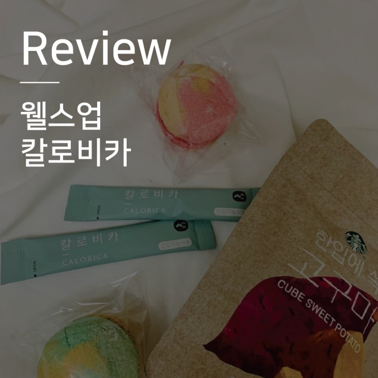 웰스업│ 가르시니아 다이어트 커피 칼로비카 후기!