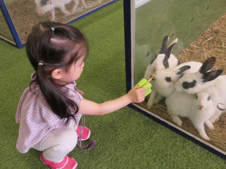 덥거나 추운날, 비오는 날 아기와 놀기 좋은 곳 '쥬라리움 파주점'