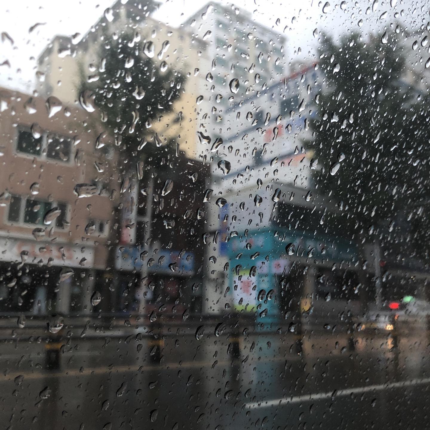 콘텐츠