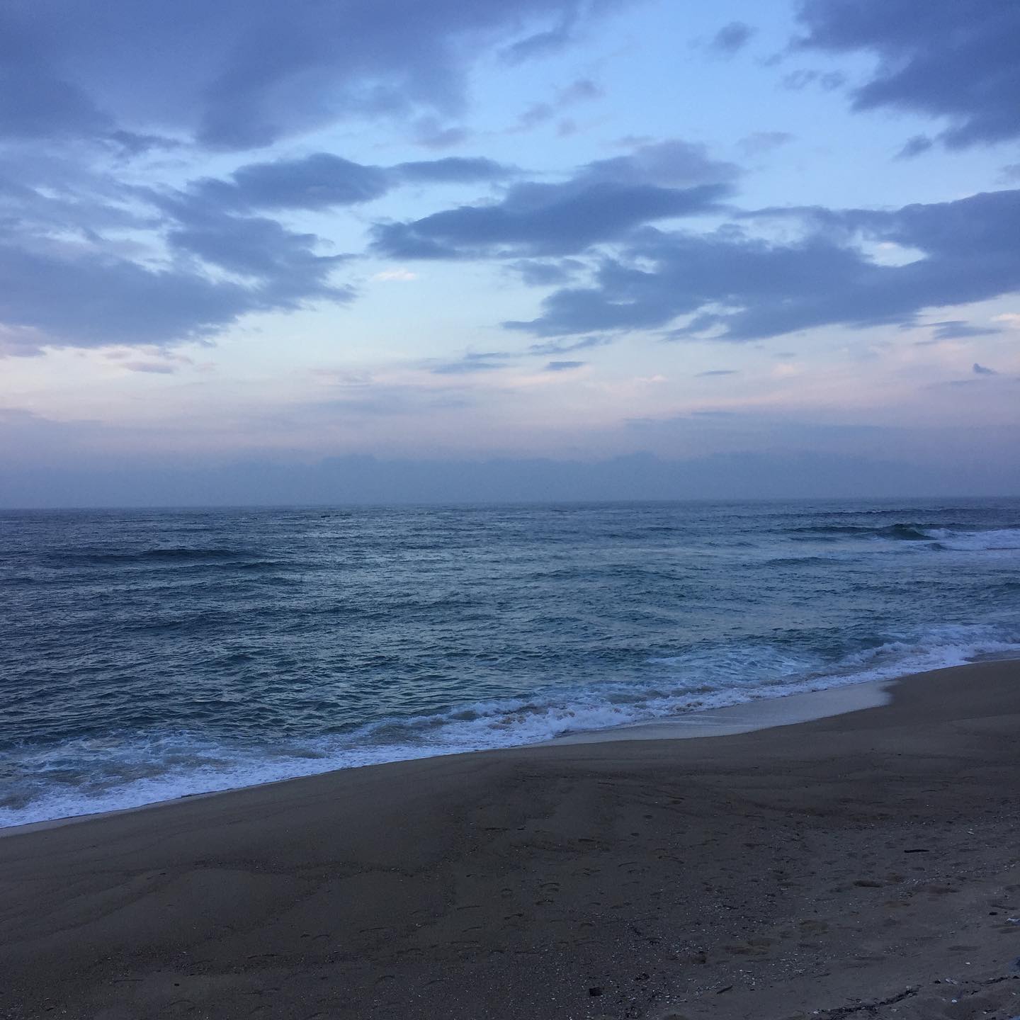 콘텐츠