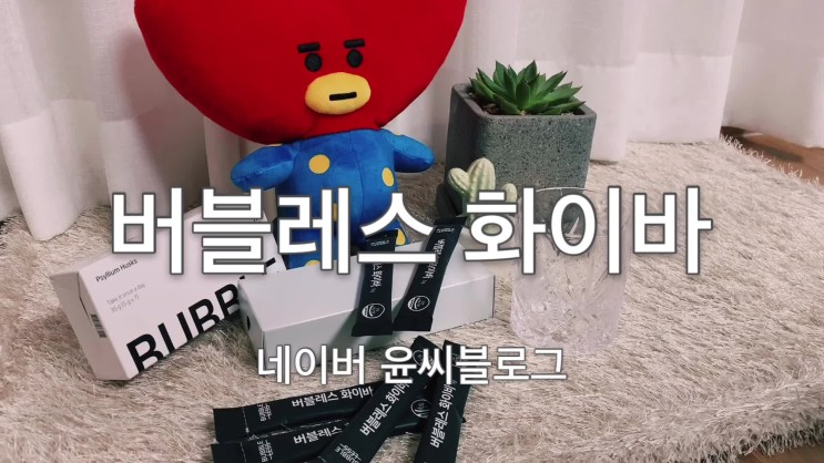 차전자피 식이섬유 버블레스 화이바로 변비탈출
