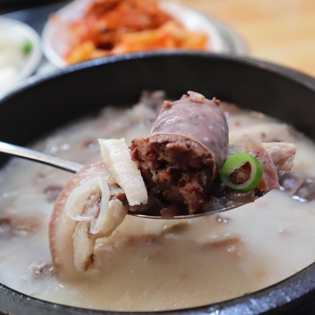 찹쌀순대와 토종순대 그리고 순국산 머리고기 순대국 이태경순대국  #이태경순대국 #정자동맛집추천