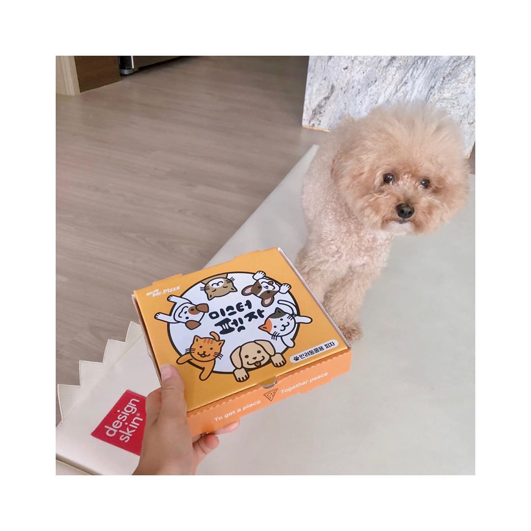 sᴜᴊɪɴ 👑 on Instagram: “띵동 !!!!!!!! 우리 피자먹는날 또리에게도 펫피자선물 !!!! 맨날 티비앞에서 야식 먹을때 또리 눈치(........)보였는데 또리랑 겸상(🤣)할수 있는 미스터피자 펫치블스세트 !!! 우리도 치즈블라썸피자 너뮤 맛있게 먹구 또리도 펫치블스 피자…”