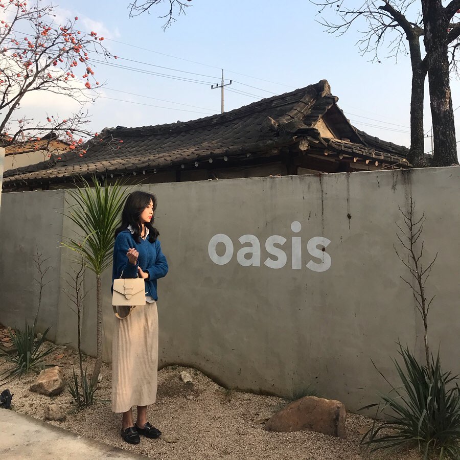 🌴오아시스🌴🐫🌵