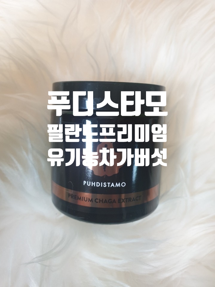 [차가버섯차효능]차가버섯차 효능 총정리: 푸디스타모 차가버섯 분말 솔직 리뷰
