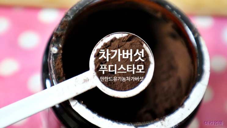 차가버섯 효능 어디까지 건강에 도움이 될까?