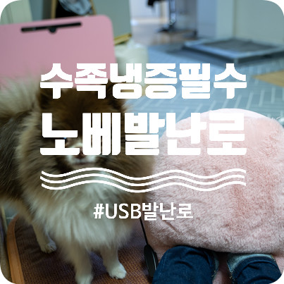 노베 발난로 : 수족냉증 때문에 고생한다고 선물받은 USB발난로