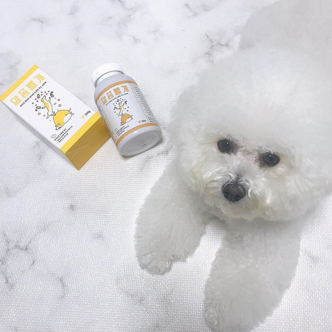 ᗪᑌᗷᑌGᖇᗩᗰ on Instagram: “다요트하는 댕댕이!!!🧡
두부가 급격하게 살이 찌면서 많이 힘들어했는데 띠용🐶 요렇게 좋은 선물이 도착했다구욤!!!🧡
지금은 5.4에서5.1!! 천천히 뺐어요 :) 친구들도 화이팅🧡#살좀뺄개”