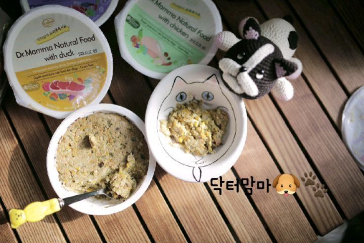 마요 on Instagram: “. 우리꼬맹이들 이케잘먹음 행복하자나🍄🍎🌈 . . 수의사가만든 사료 어떤재료가 들어갔는지 눈으로도 확인할수있어 안심하고 먹일수있는  #기호성킹왕짱#닥터맘마#😋 🥘 @dr_mamma_official . . #강아지사료 #강아지사료추천 #강아지습식사료…”