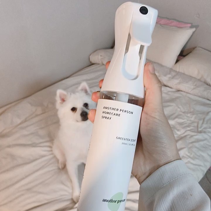 정원 on Instagram: “갠적으루 진한향 머리아파서 안뿌리는데 녹차향이라 좋다 💚 울 뚜이도 좋아라 하구 탈취효과 쵝우 💚어나더펄슨 #홈케어 #섬유탈취제 #셀프인테리어 #집꾸미기 #집들이선물 #자취 #자취생 #자취생필수품 #AD @anotherperson_official”