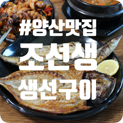 가성비 최강 대박 맛집 발견! < 조선생 생선구이 >