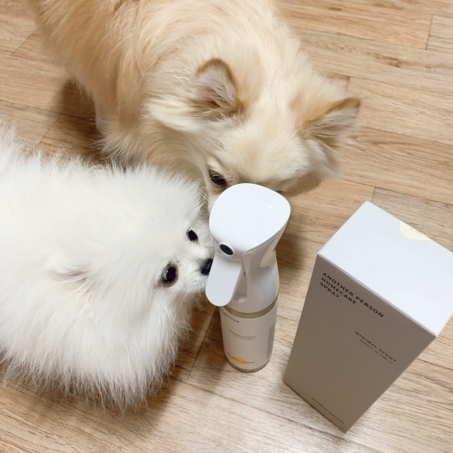 콩두부자매 on Instagram: “❤︎ 어나더펄슨 홈케어 스프레이 (◍•ᴗ•◍)❤ . 자취생이 사용하기 넘나 좋은 템 !! 안개분사 기능의 다목적 탈취제에요 분사력 좋고 향도 은은해서 자꾸 뿌리고만 싶은 탈취제 😊 . 향은 미니멀 센트 - 라벤더향 그린티 센트 - 숲향 2가지 있어요…”