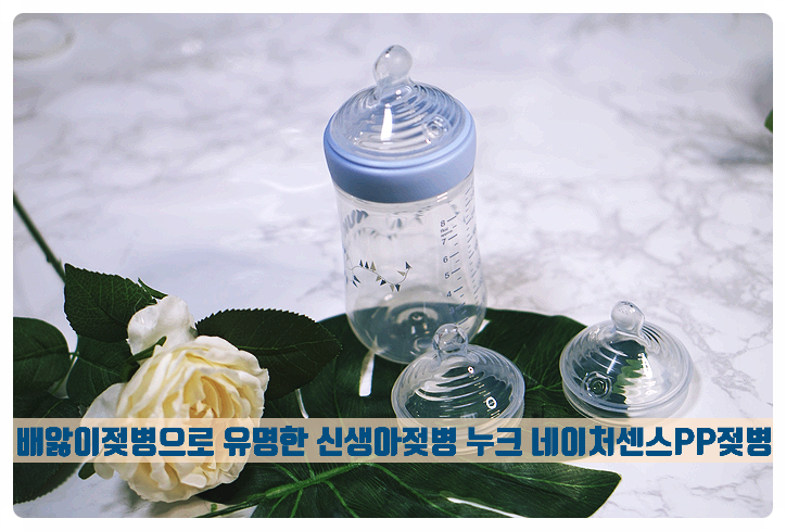 신생아젖병 배앓이젖병으로 유명한 누크 네이처센스PP젖병