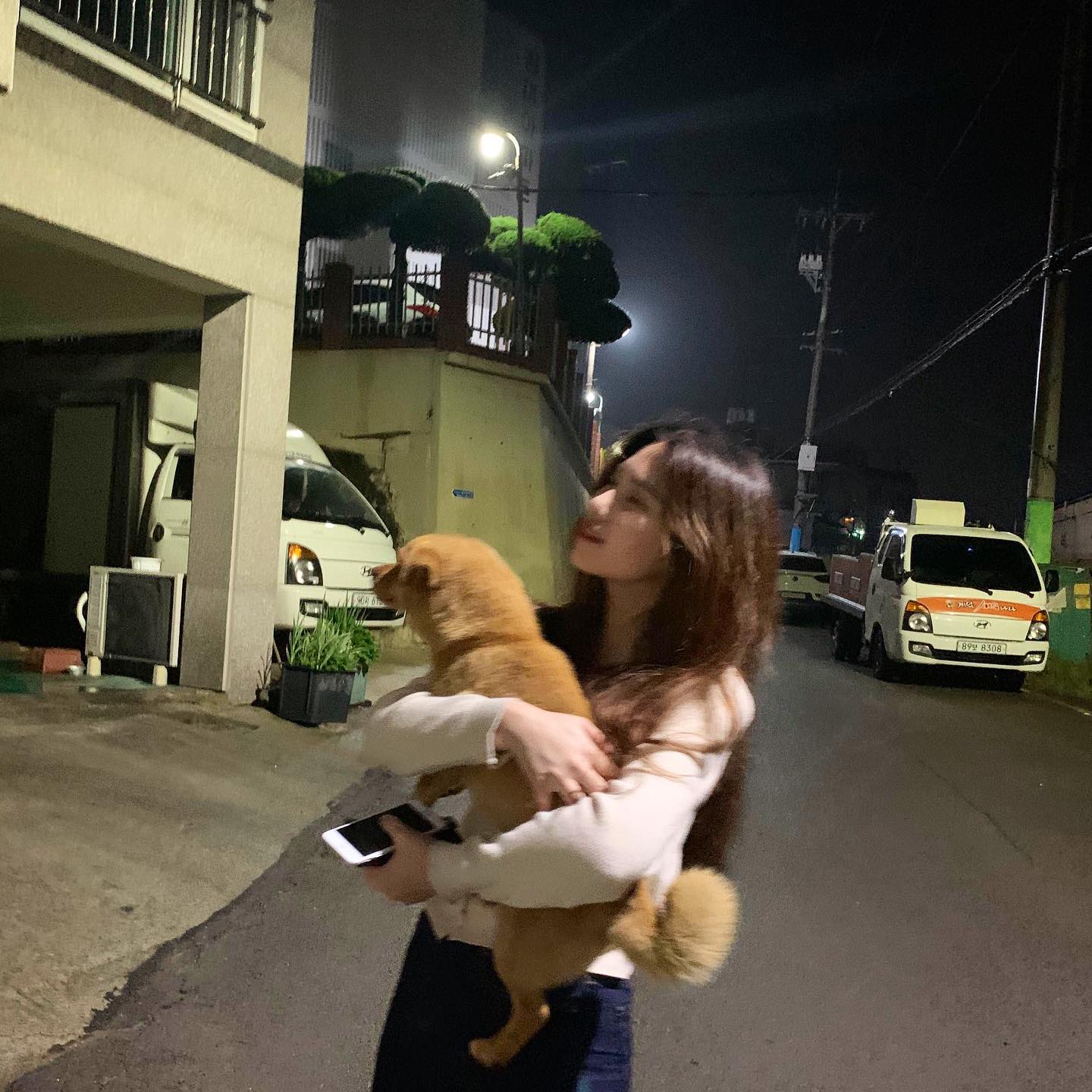 취취해서 안아줬는데 난 강아지 본 기억도 없다