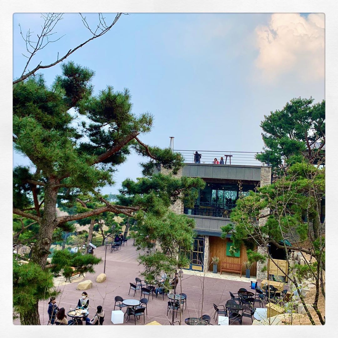 블루시아💫’s Instagram photo: “⠀ #오늘도예쁜하루🌷 ⠀ ⠀ #원주카페 사니다카페☕️ ⠀ ⠀ 현재 사니다카페에서 6월 방송예정인 tnN 드라마 “사이코지만 괜찮아” 드라마촬영을 4월 부터 진행하고 있다고 해요🥰 ⠀ ⠀ 🌸드라마 ‘사이코지만 괜찮아’🌸 힘든 삶의 무게로 사랑을…”