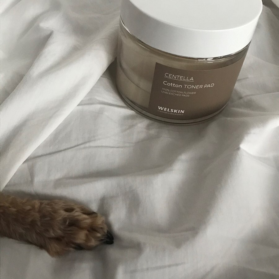 소이’s Instagram post: “울 망고가 픽한 화장품, #센텔라목화솜토너패드  아침에 간단하게 팩할때도 좋고 스킨으로 닦아낼때고 좋고 👌🏻💕 기초화장품중에 잘맞는걸 찾기힘든 내 피부에도 찰떡이었다요✨  #웰스킨 #토너패드추천 #수분팩 #닦토 #저자극패드 #스킨패드 #수분패드…”