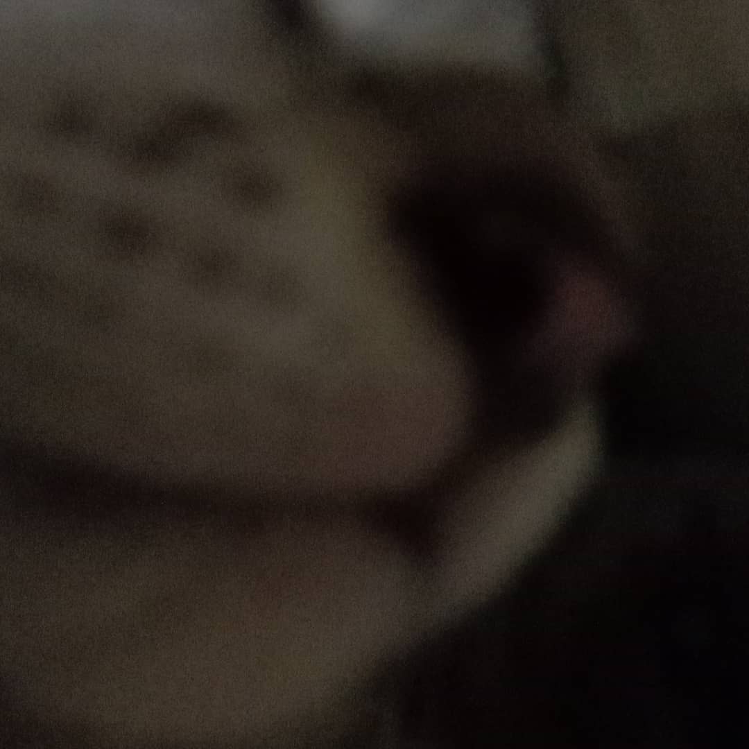 전지🐱