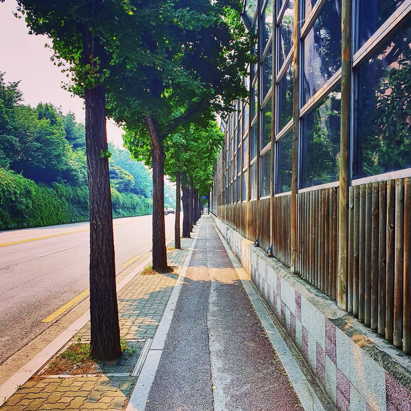 극도의 안정감을 줘 본 사진에
입맛대로 보정해봄
마지막 사진이 원본!
연속으로 셔터 누른거라
다 다른 사진인게 함정ㅋㅋ
숨은그림찾기 해보세요
#사진 #이미지 #출사 #색보정 #마지막 #원본  #갬성 #감성 #안정감