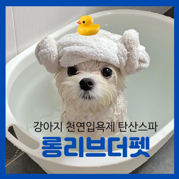[롱리브더펫] 강아지 천연 입욕제 / 강아지 탄산스파