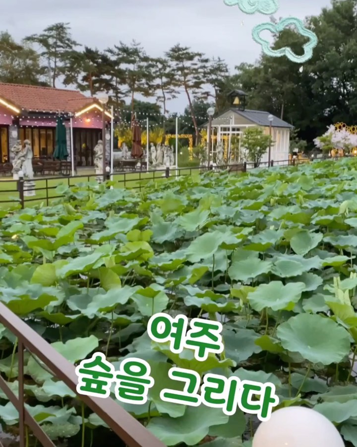 I_ am_ charcoal on Instagram: “어제 진짜 바쁜 하루~ 여주 프리미엄 아울렛 잠깐 갔다가 미팅 끝내고 ~ 여ᄌ