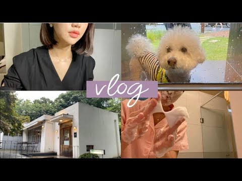 [vlog] MLBB 매트립 찐템(feat. 나틴다)| 여름 건성피부 클렌징부터 보습까지(feat. 메디필) | 가평여행 빵투어, 애견동반카페 | 난생 첫 코인세탁소|직장인브이로그