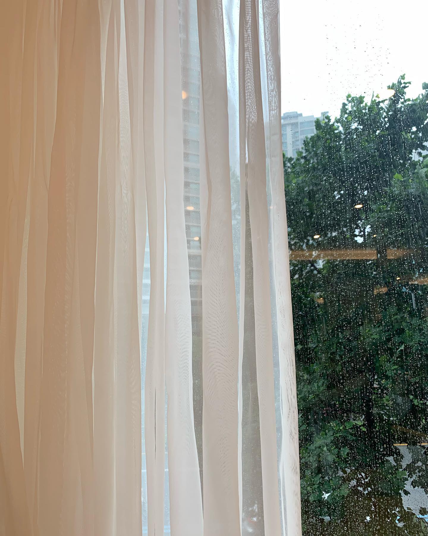 ☔️