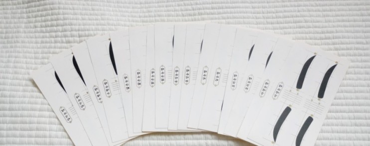 바쁜 출근준비 갈매기눈썹 그리기 PCTN 스티커로 빠르게 해결