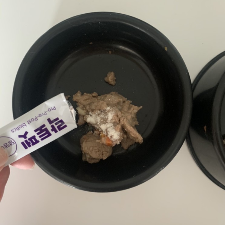 강아지변비 탈출엔! 간편하게 락토펫 프로바이오틱스