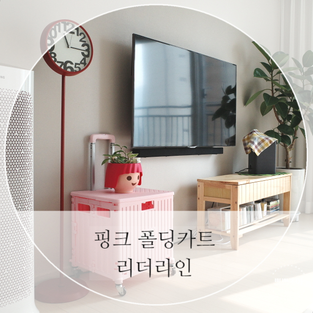 4바퀴 폴딩카트 예쁘고 편해요