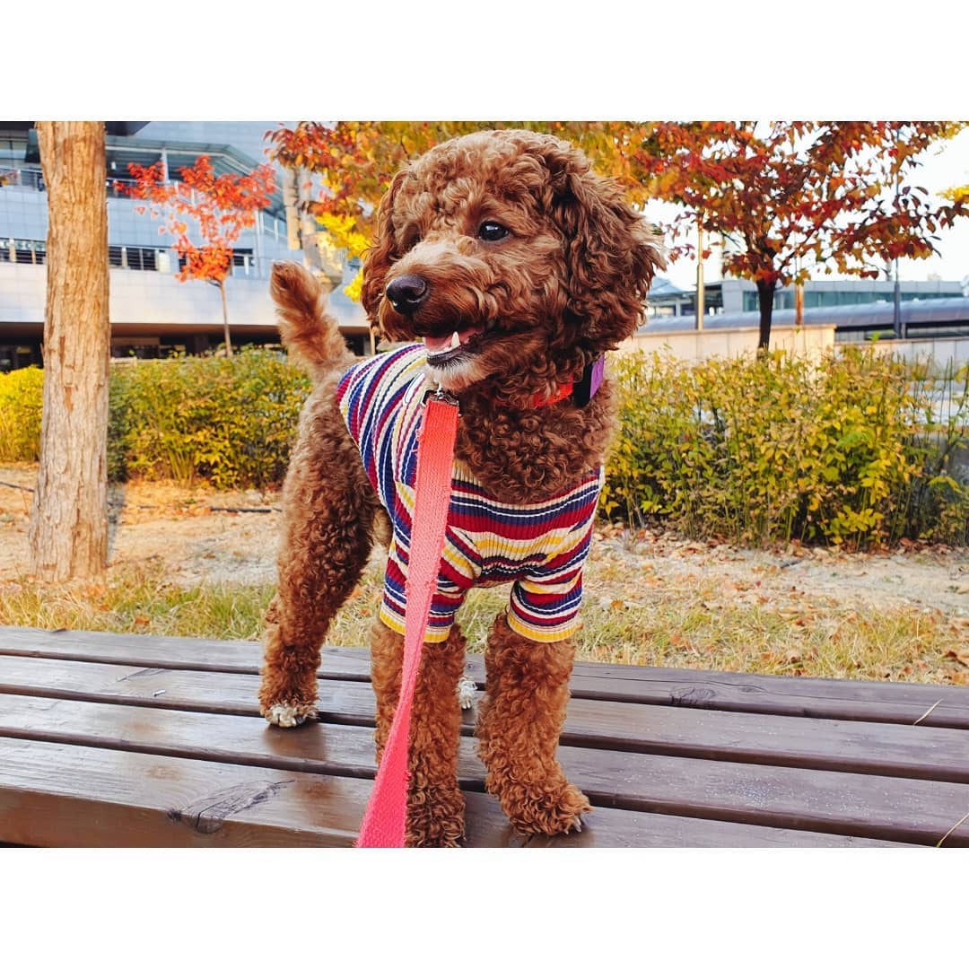 가을이다🍂