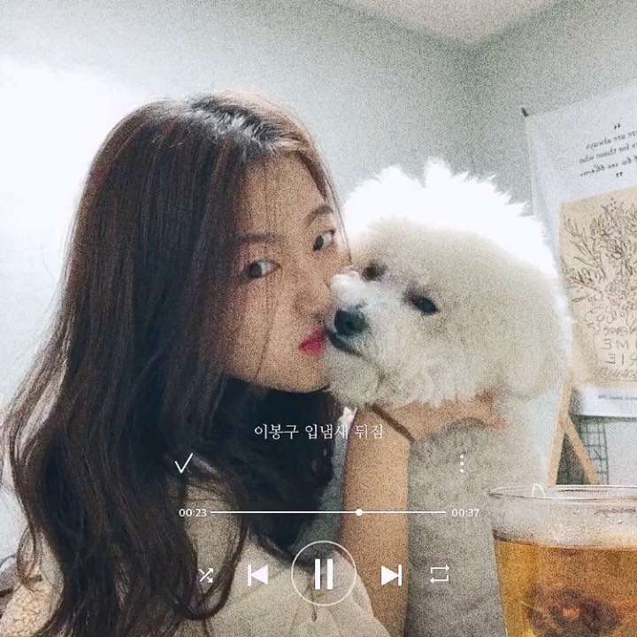 이 다경 on Instagram: “⠀ 봉구 열빙어 까까 먹이고 입냄새 맡으면 비염 걍 뚫린다 호 호 근데