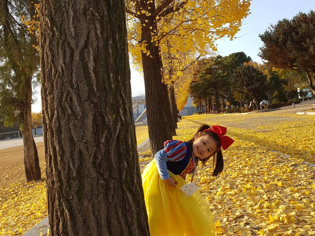 #춘천교대#은행나무길 #춘천예쁜곳 #춘천데이트 #은행잎🍂 #노랑노랑💛#춘천가을