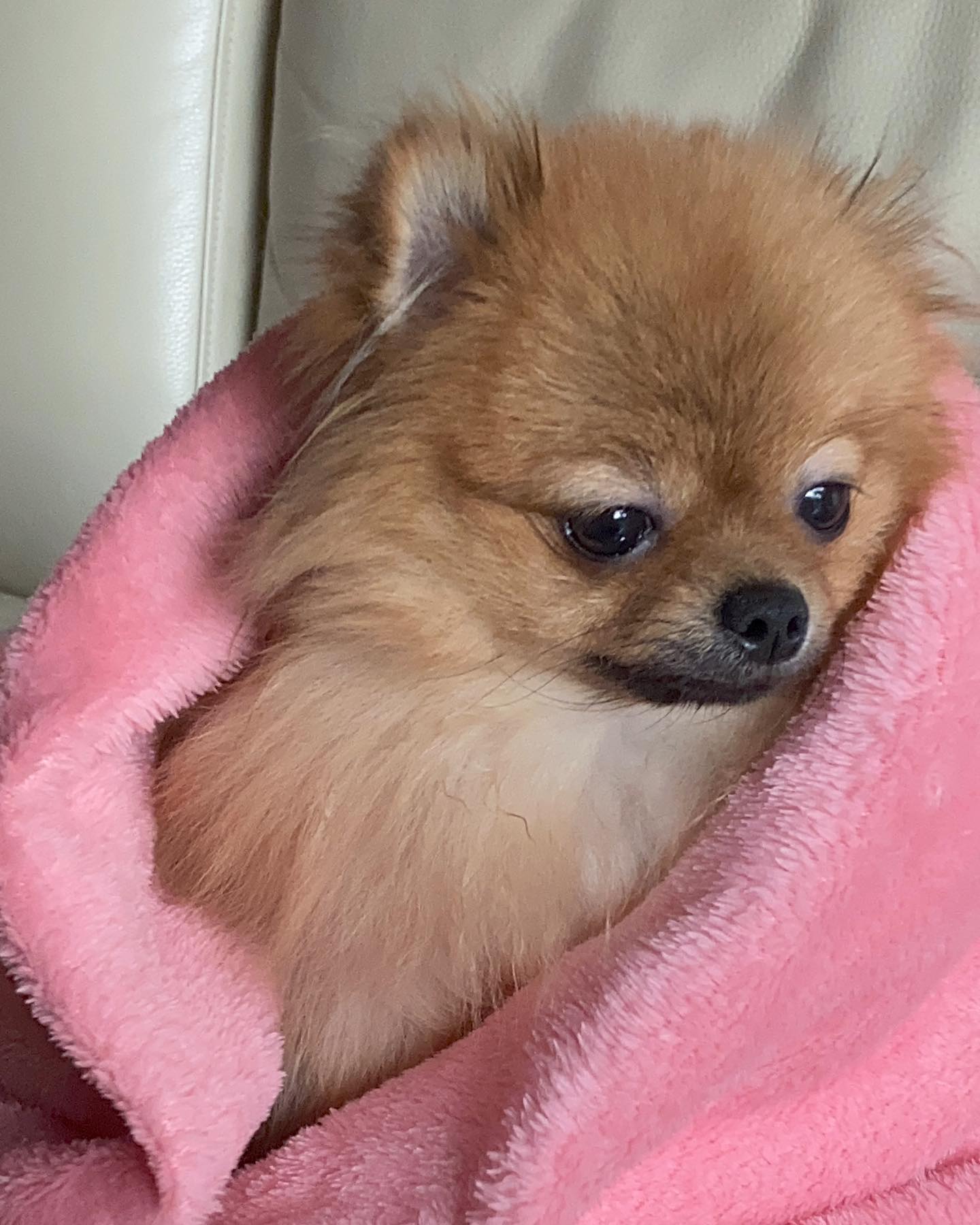 너무너무 예쁜냐냐