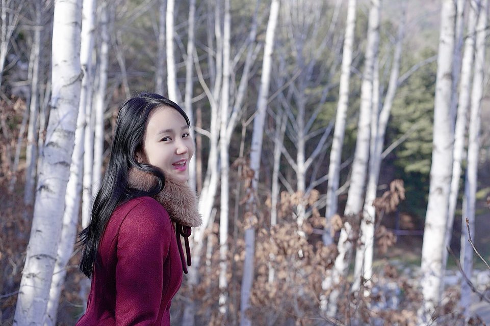 려은😙 on Instagram: “이번주말에 #강원도 #자작나무숲 보러 갔다가 코로나때문에 못들어가서ㅠㅠ 인적없는 길없는 산에 (마침 계획에 없던 등산이…”