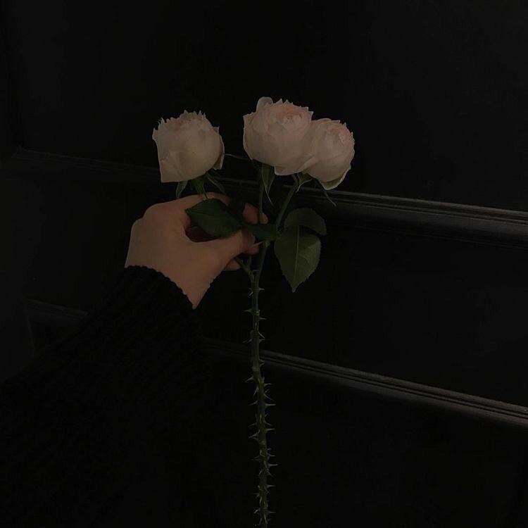 🌹