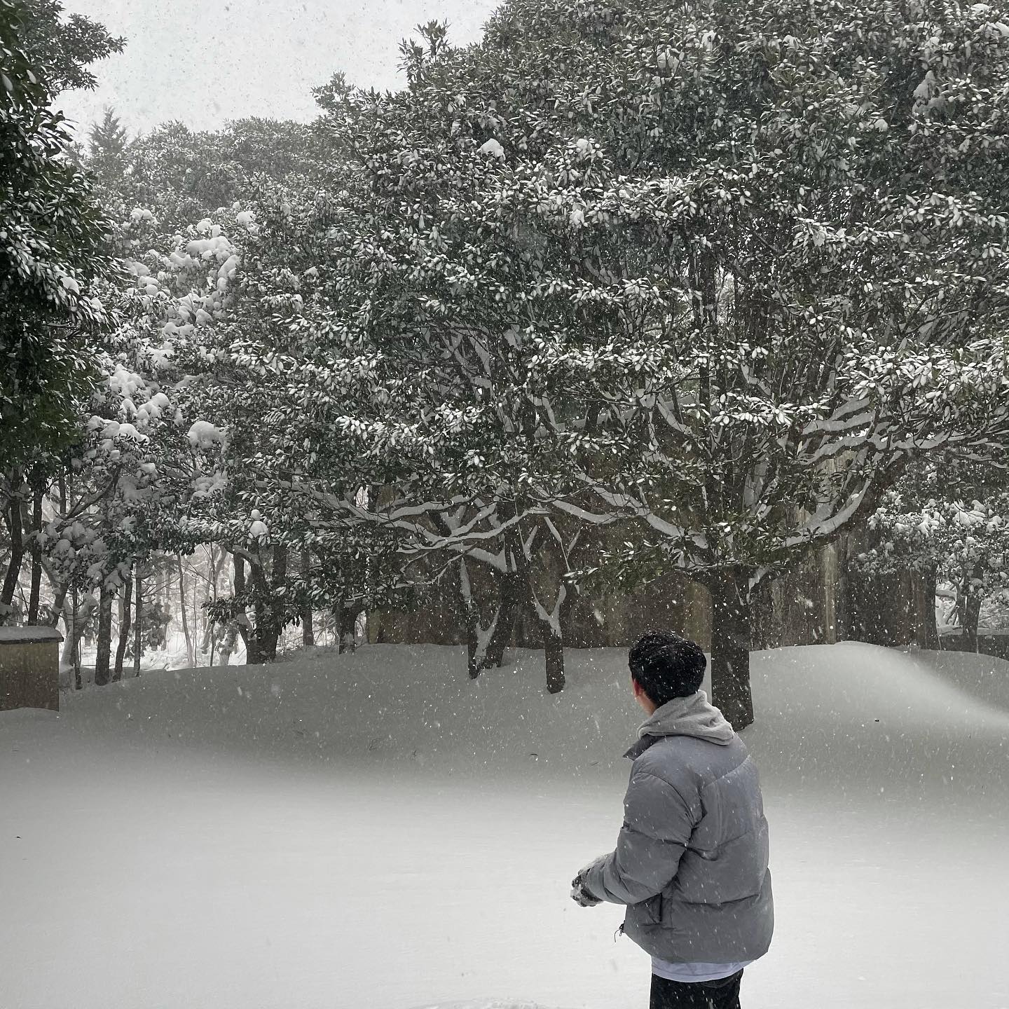 여기가 바로 겨울왕국 ❄ #제주도 #제주 #송당리