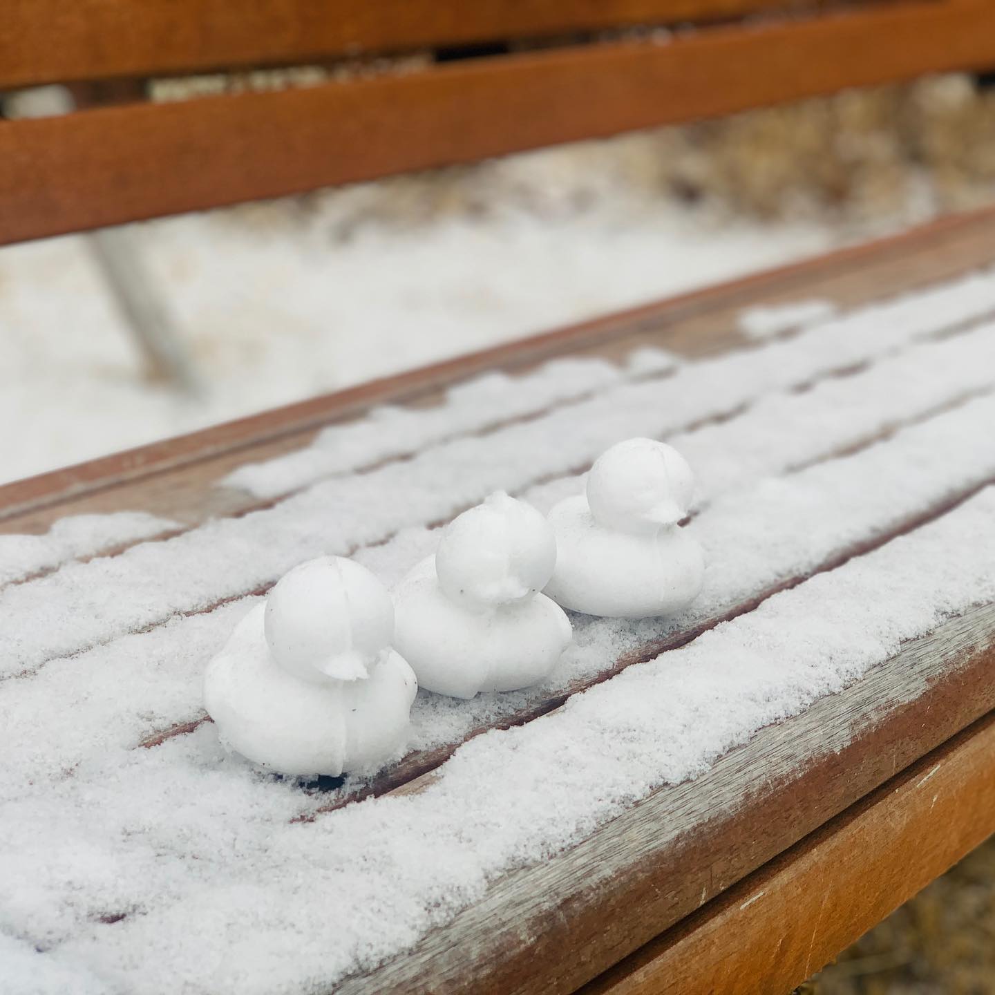 눈오리~🐤🐤🐤
.
나도 눈오리~ 히힛 ☃️
.
너무 귀요미네잉~
눈이 왕창 왔었어야하디만.. 언젠간 또 오겠디?.. 🙄
.
눈이 오길 기다리는게 얼마만인가❄️
.
소소한 행복☃️
.
.
.
#눈오리 #오리눈 #눈사람 #겨울 #겨울는 #오리눈집게 #오리눈사람 #눈 #소소한행복 #소소한일상 #집 #집순이 #취미 #일상 #힐링 #귀요미