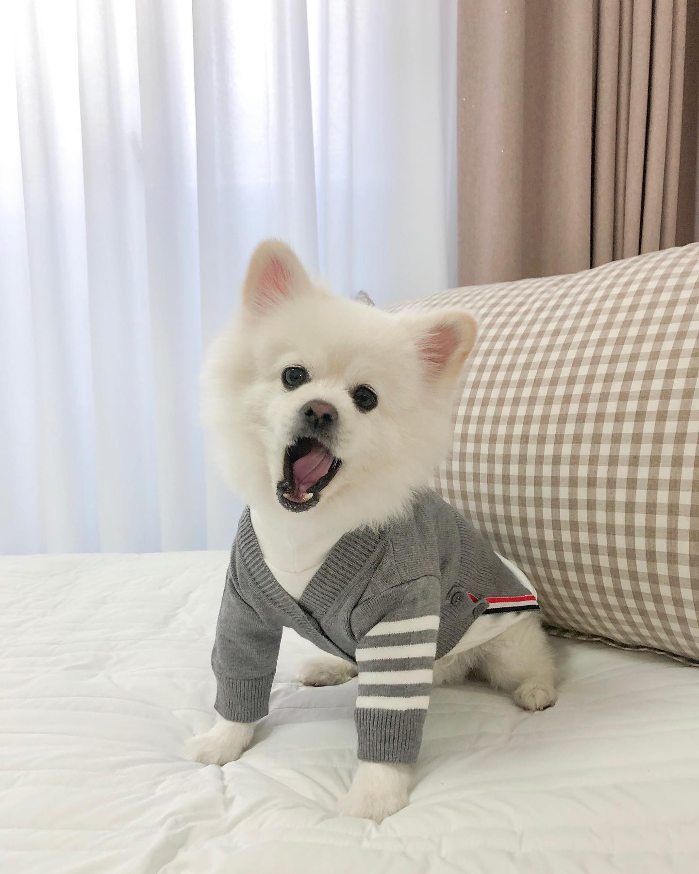 나 어때요오? ಇ( ˵ᐛ ˵)ಇ
아빠가 사주신 #멍브라운 🤍