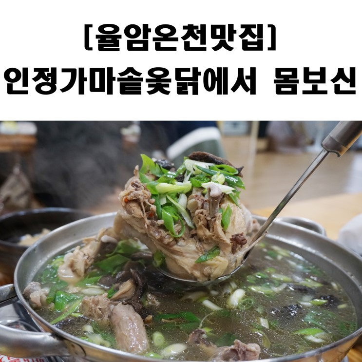 율암온천 맛집 인정가마솥옻닭에서 몸보신했어요