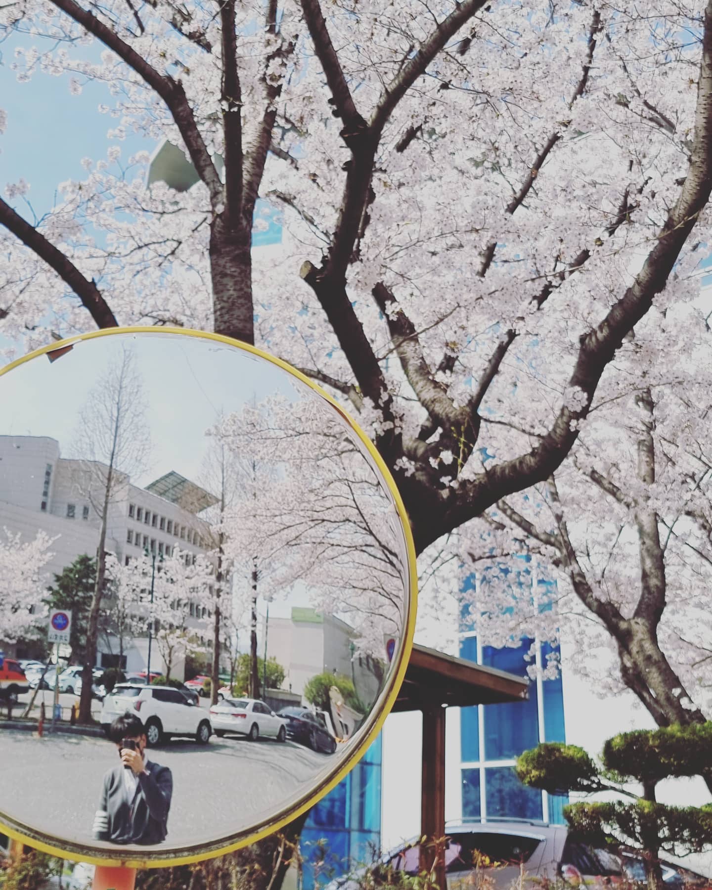 🌸