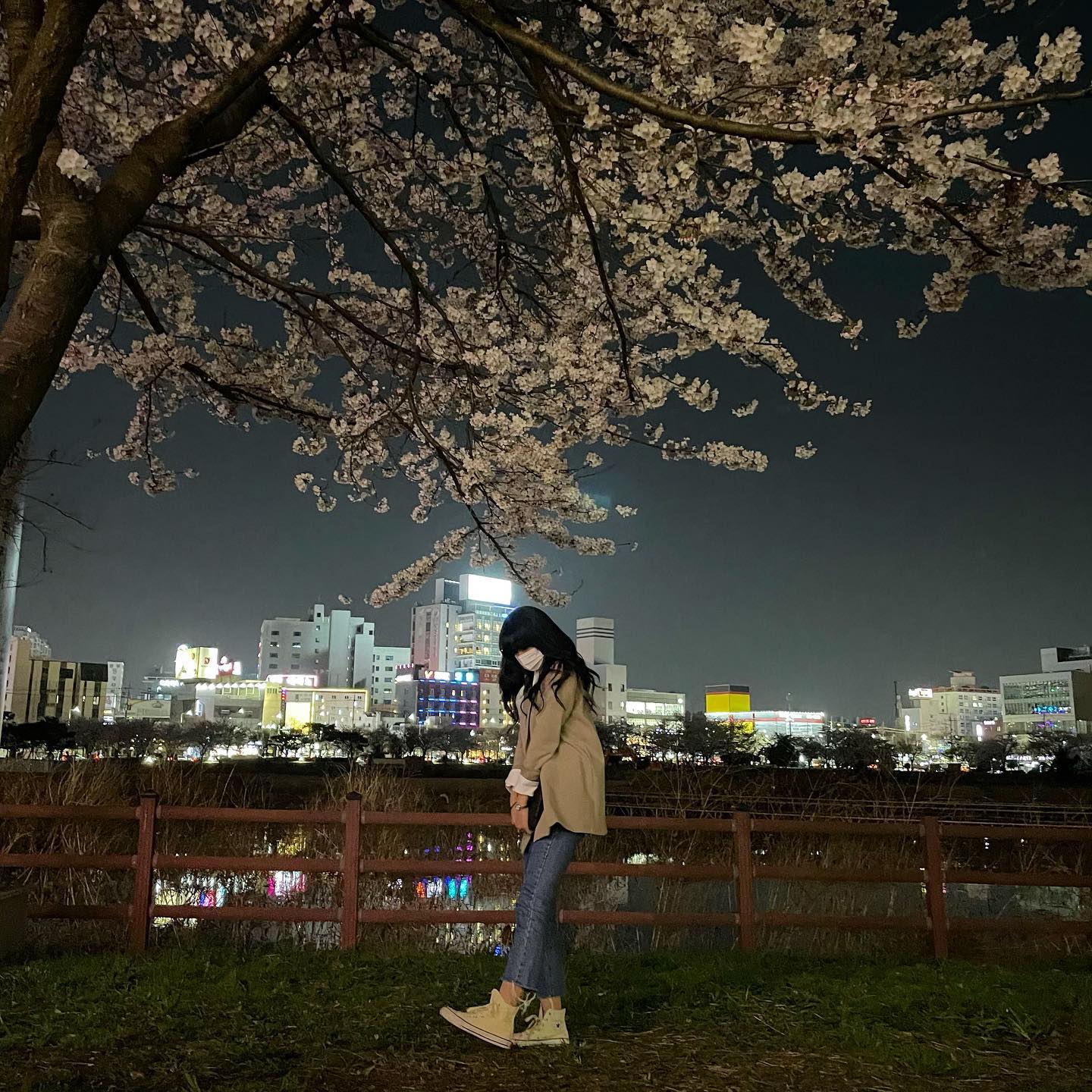 🌳🌸🌒