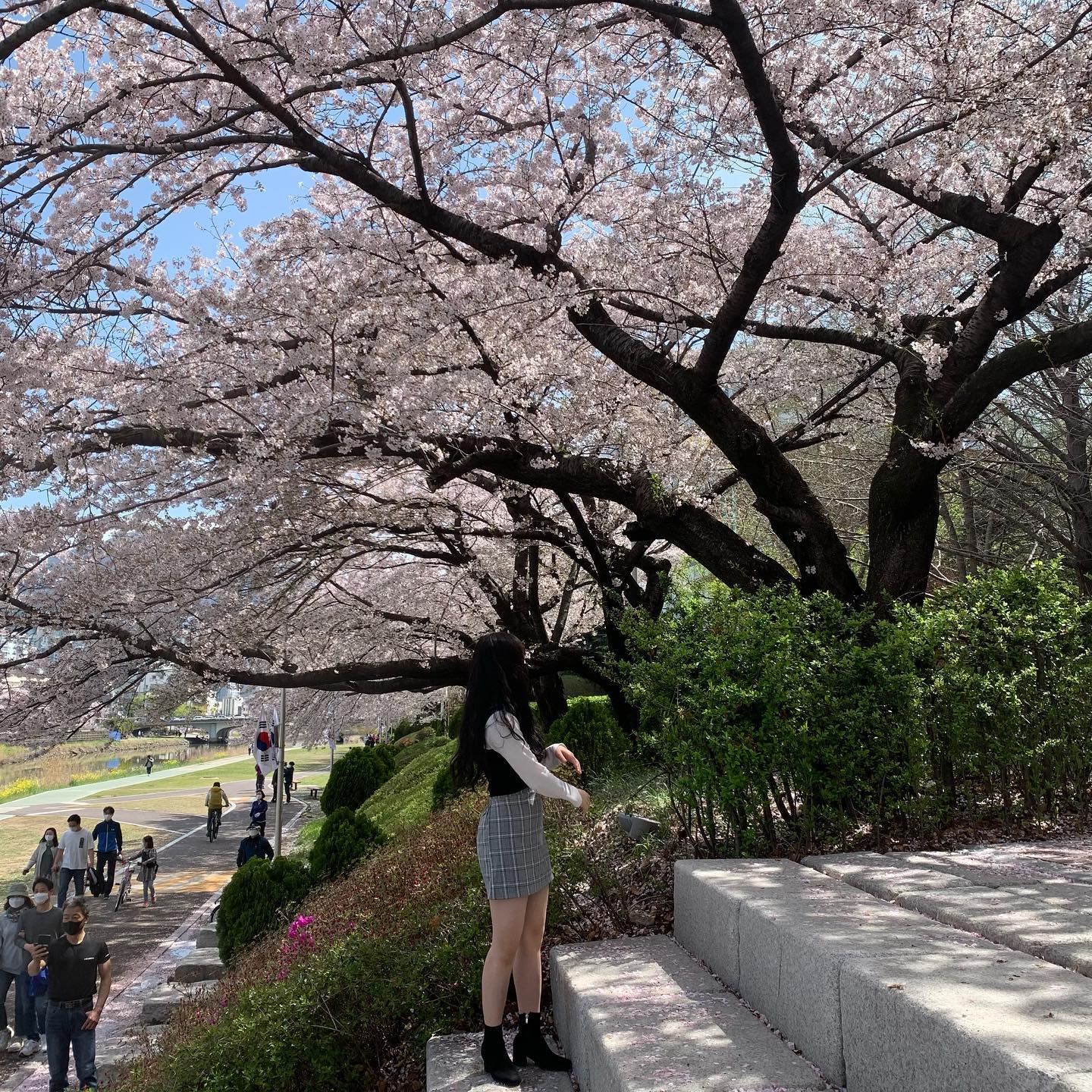 벚꽃 너무 이뻐..🌸