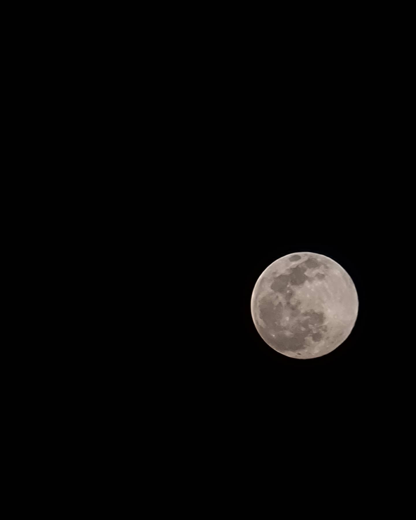 오늘의 🌛