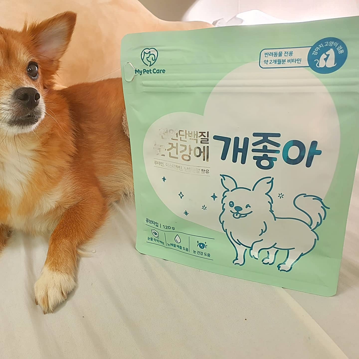 #협찬 healthup_official 
🐕
 닭고기와 오리안심이 베이스인 눈 영양제
천연단백질 '눈건강에 개좋아'
 no알러지 + 고양이도 급여 가능해오 🐾🐶💕