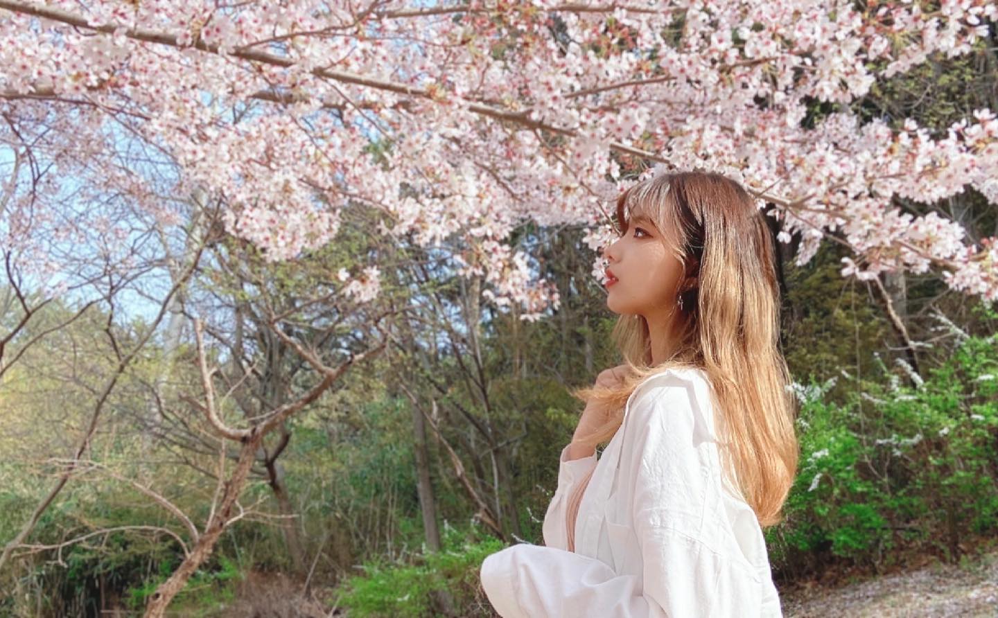 cherry blossoms💜
.
.
.
.
.
.
.
#팔로우 #맞팔 #댓글환영 #소통 #데일리 #데일리룩 #일상 #일상그램 #셀스타그램 #21 #대학생 #셀피 #좋아요 #좋반 #인스타 #모델 #분위기 #패션 #follow #likeforfollow #likeforlikes  #daily #instagood #instalike #instadaily #韩国人  #美女#フォロー #벚꽃 #봄
