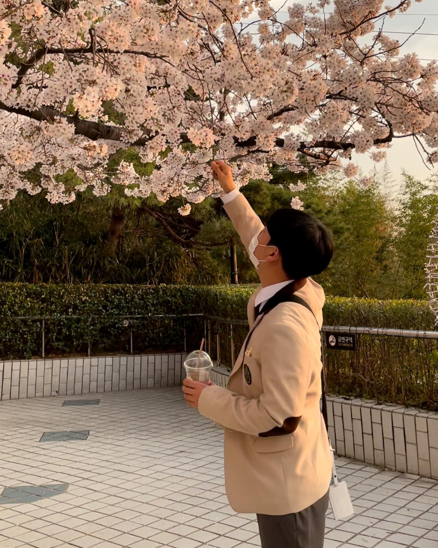 10대 마지막 봄 🌸 #이월드별빛축제