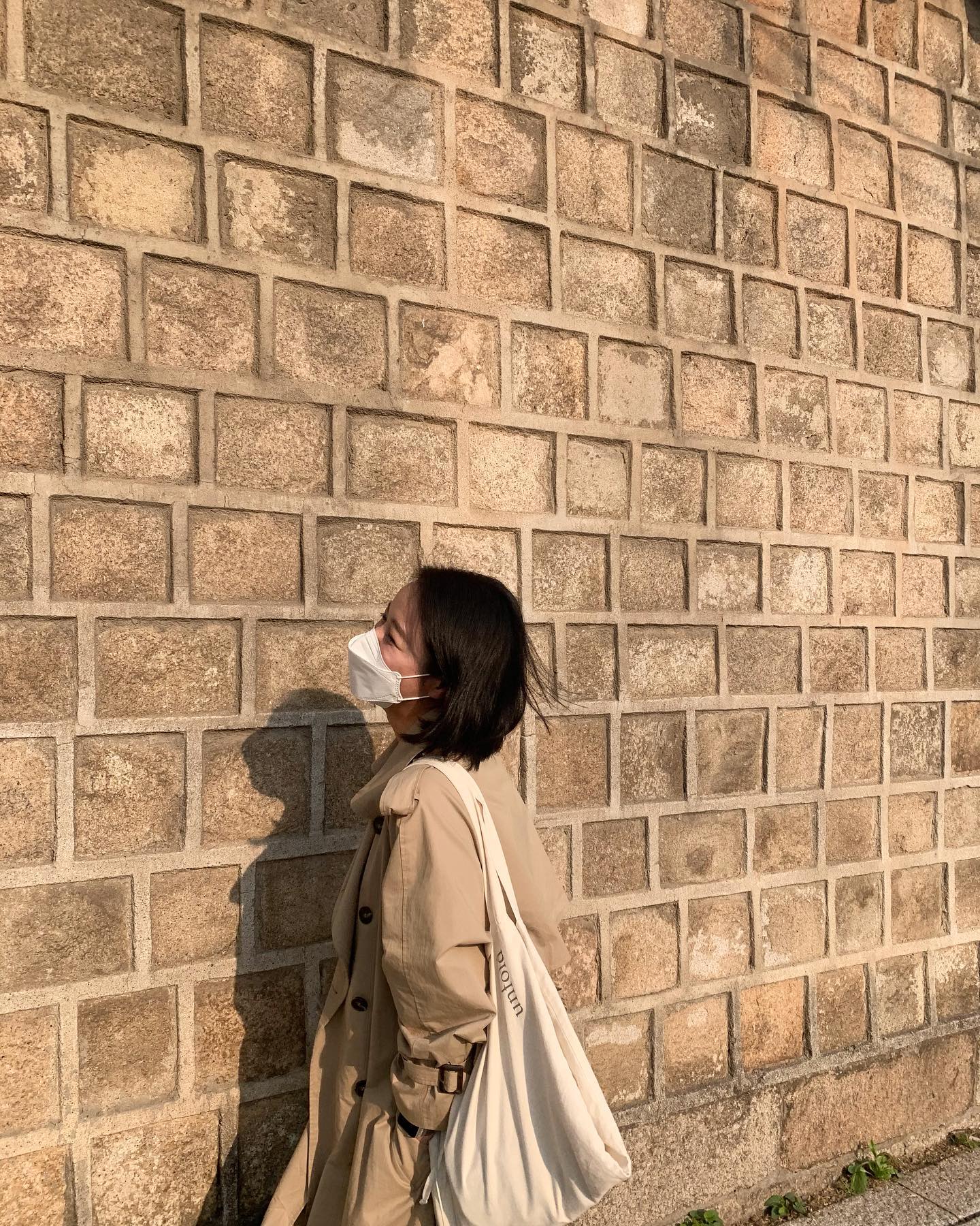 콘텐츠