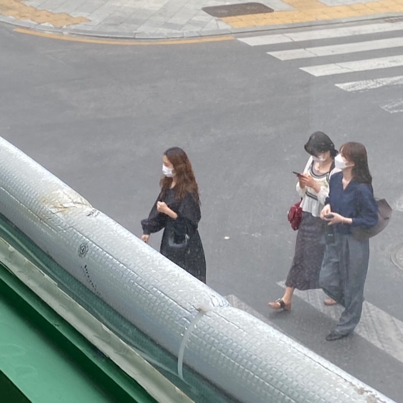 (포토)대구 중구서 주규승 포착...”대구 이렇게 좁을 줄이야”
