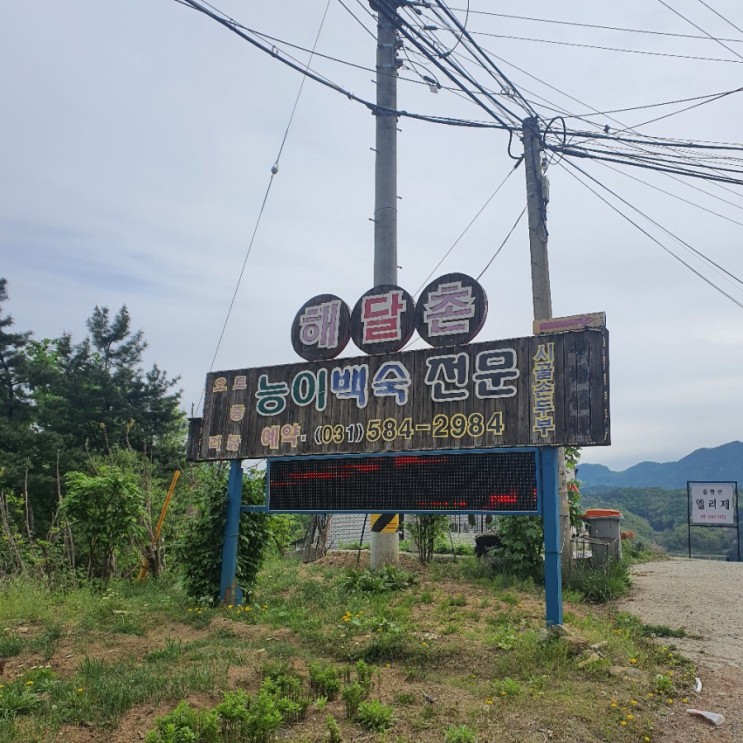 가평 맛집/가평드라이브/청평 물놀이 후에 해달촌 능이백숙으로 체력보충하기