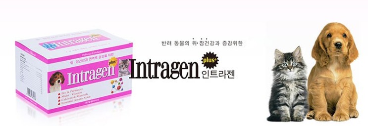 인트라젠 플러스 분말 강아지 영양제 / 프로바이오틱스로 면역력 올리고 위, 장 건강 튼튼